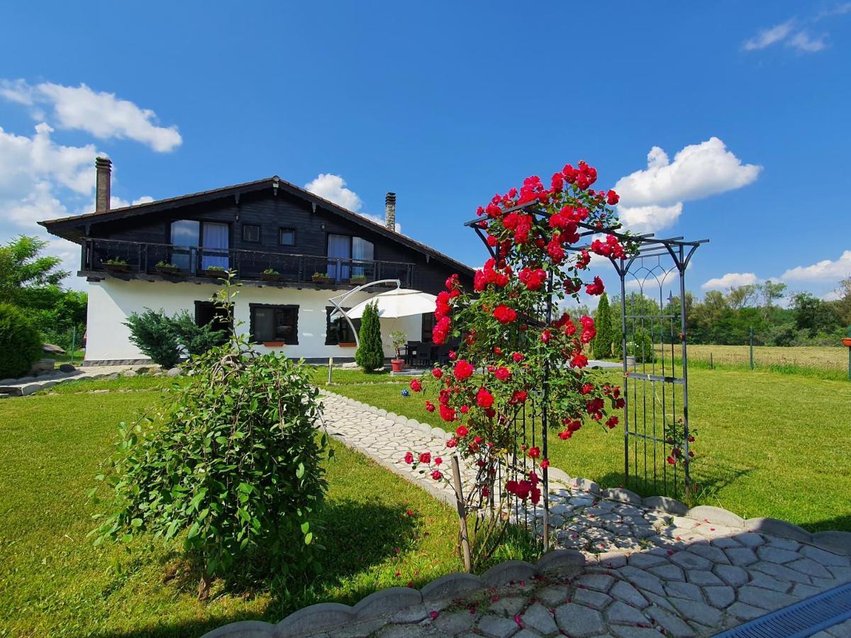 Cabana Supporter -Supporter Chalet Порумбаку-де-Сус Экстерьер фото