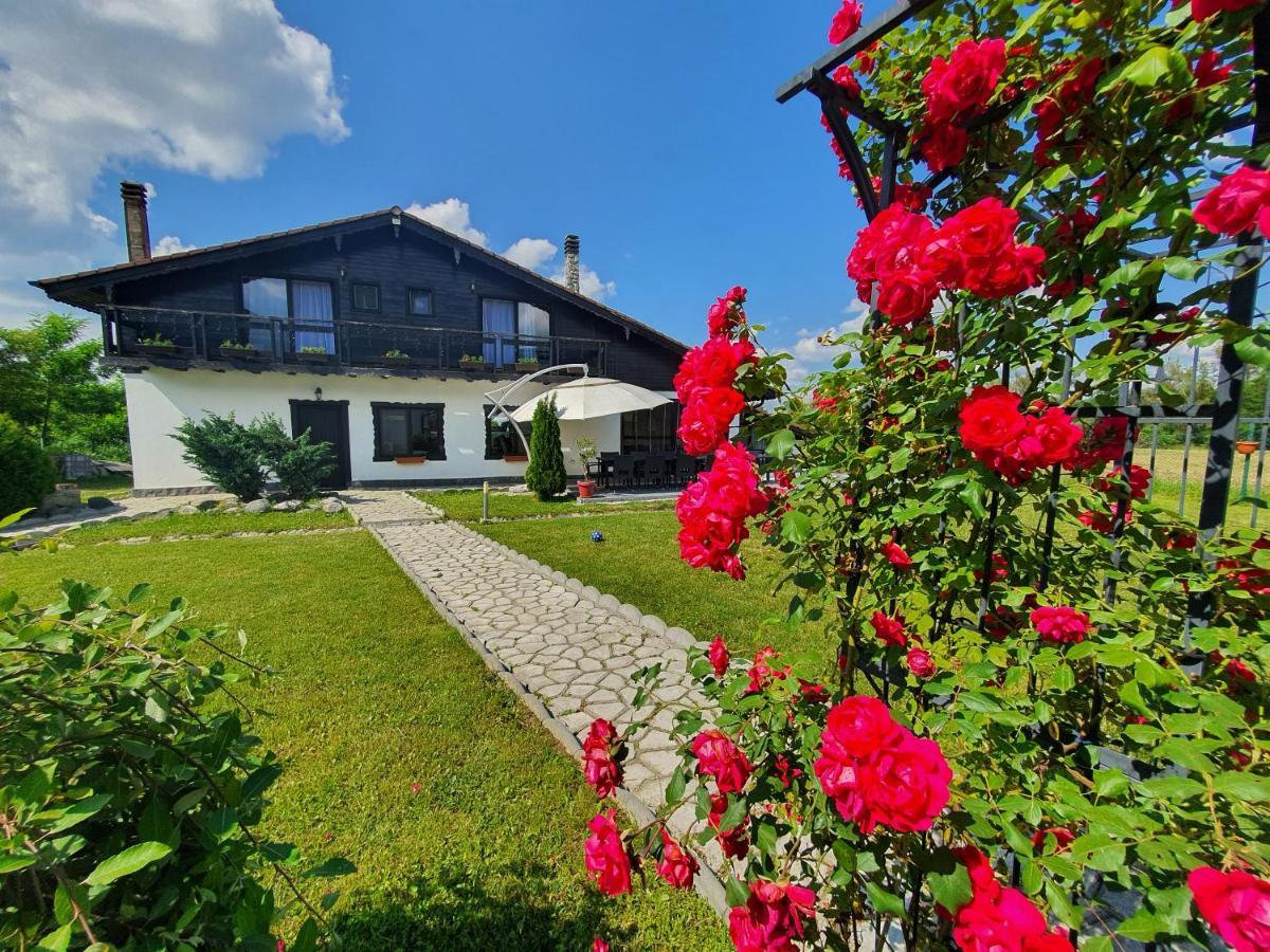 Cabana Supporter -Supporter Chalet Порумбаку-де-Сус Экстерьер фото